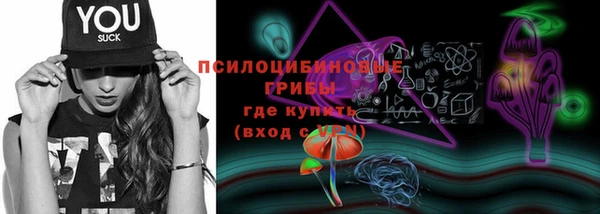 спайс Нея