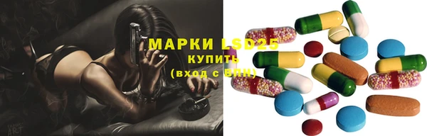 спайс Нея
