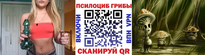 Псилоцибиновые грибы ЛСД  где купить наркоту  OMG tor  Рязань 