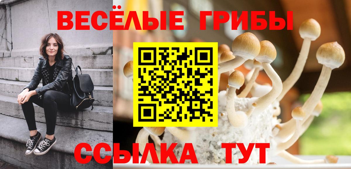 Галлюциногенные грибы ЛСД Рязань