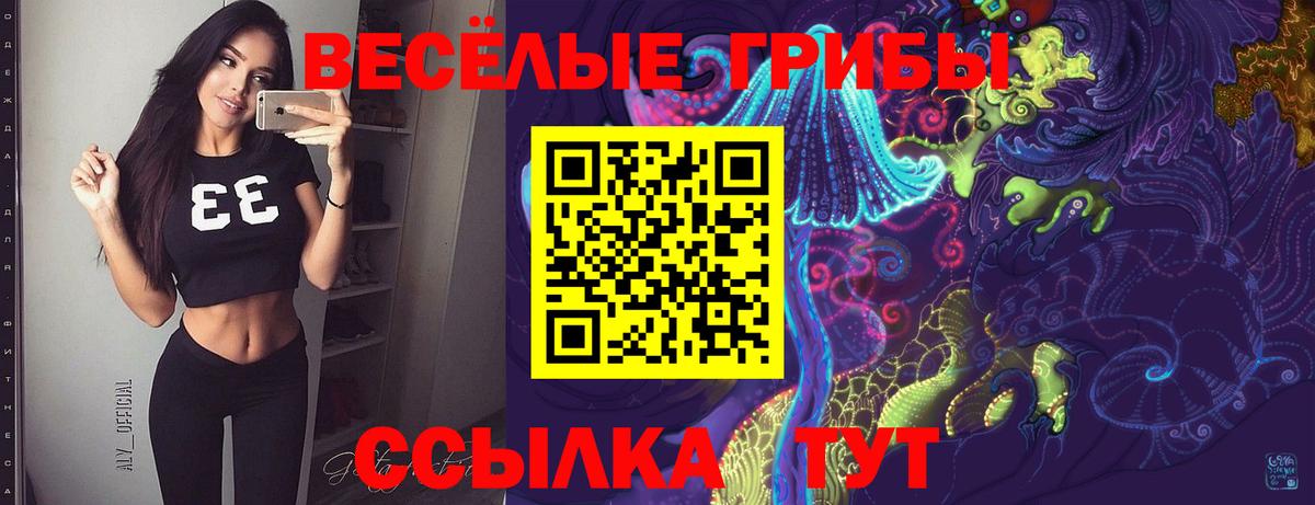 Псилоцибиновые грибы Psilocybine cubensis  Вход с VPN  Псилоцибиновые грибы Psilocybe  Рязань 